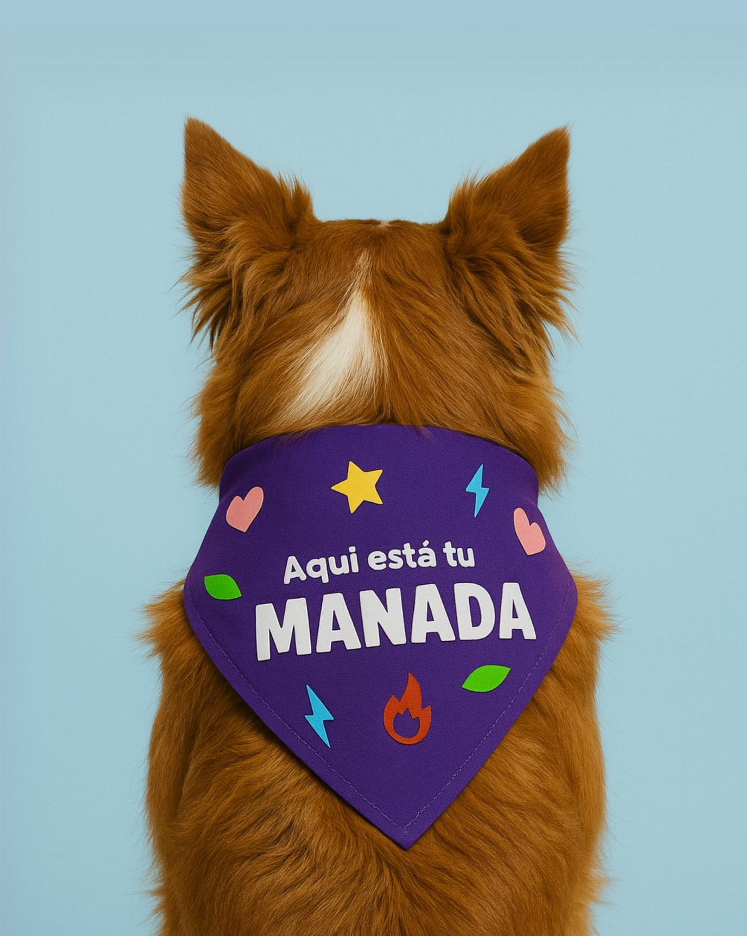Colección de Temporada
