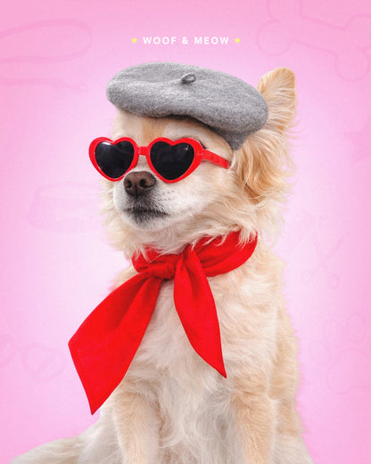 Pet Beret