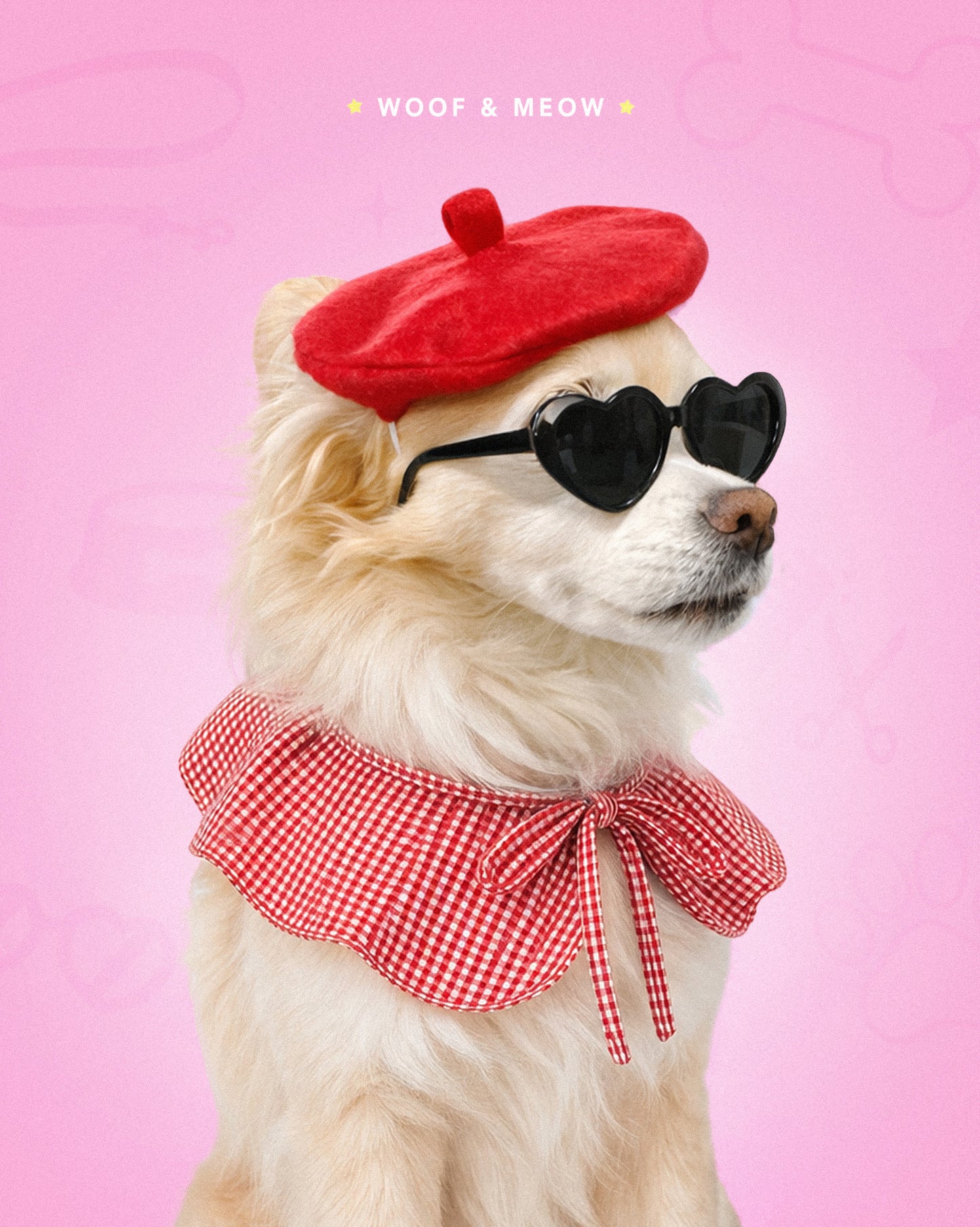 boina para perro, pet beret roja, accesorios para perros y gatos, ropa para perros S/M, sombrero, dog accessories